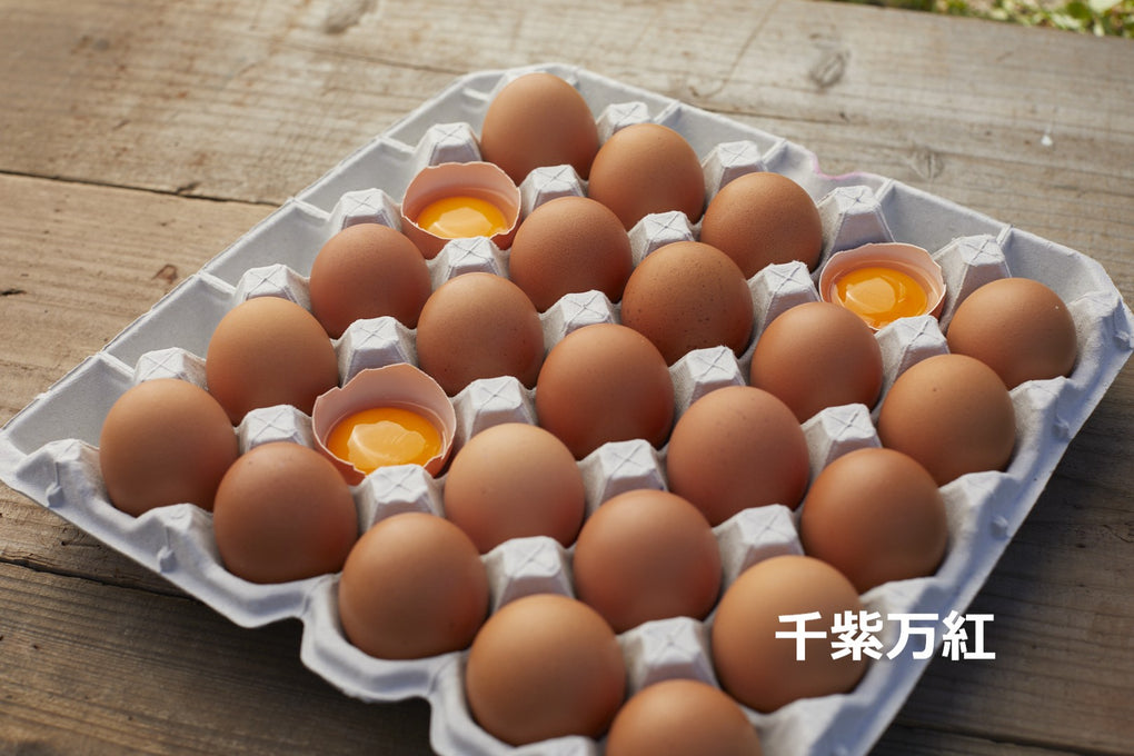 こはくファーム プレミアム鶏卵「たまゆら琥珀」「千紫万紅」