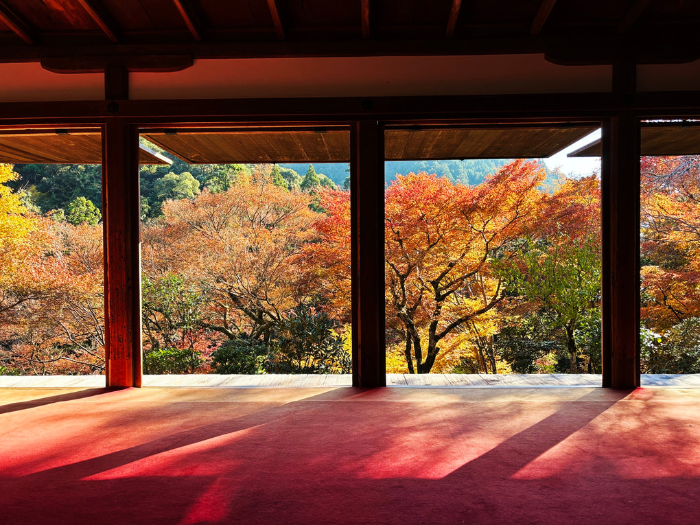 こはくファーム 「どらやき こはく」