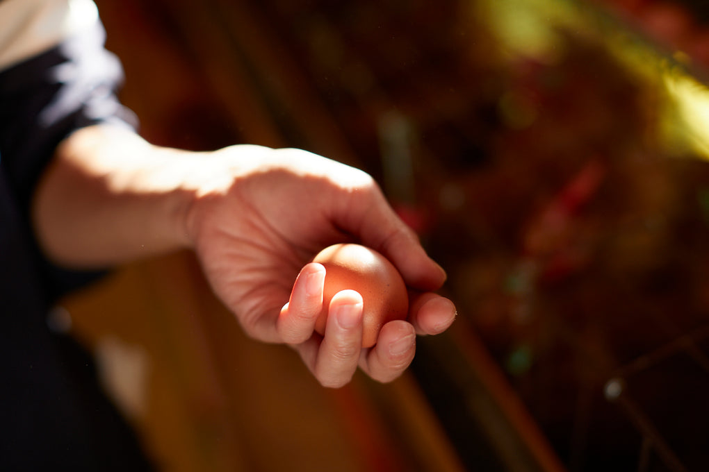 こはくファーム 「濃厚マヨネーズ」